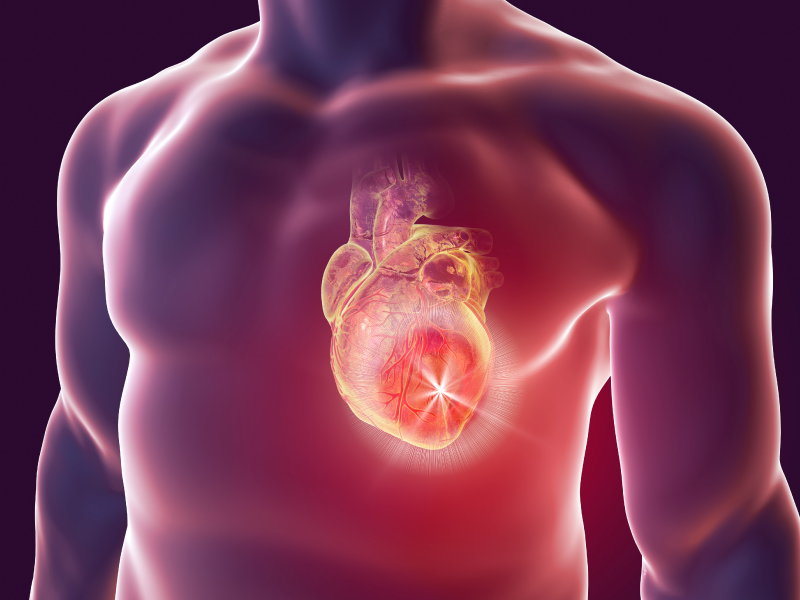 healthy heart with healthy lifestyle