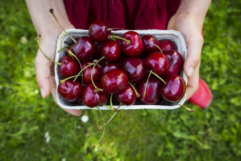 cherry fruit