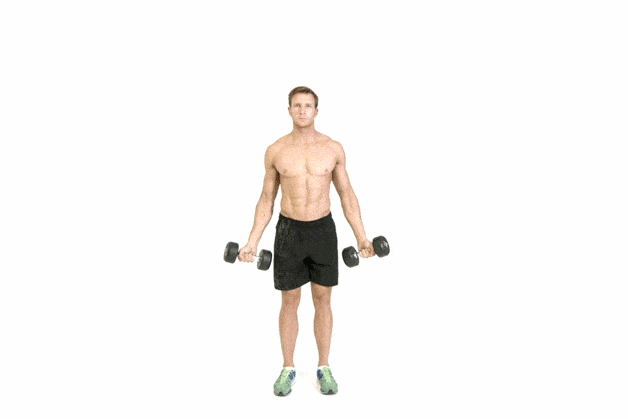 dumbbell scaption
