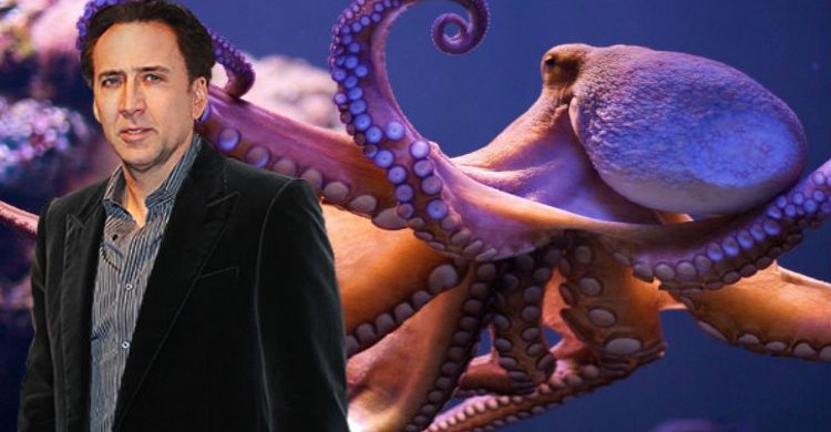 Nicolas Cage and his octopus