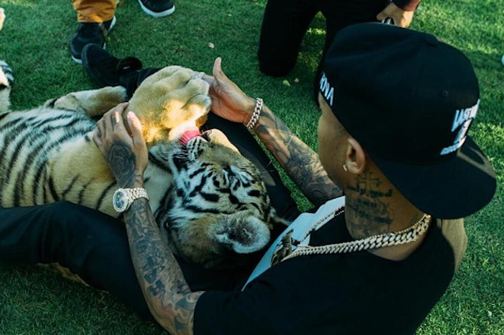 Tyga and his tiger