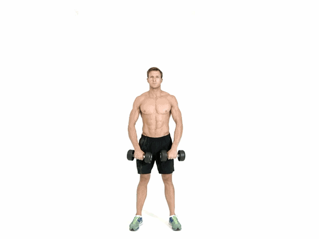 dumbbells workout for men