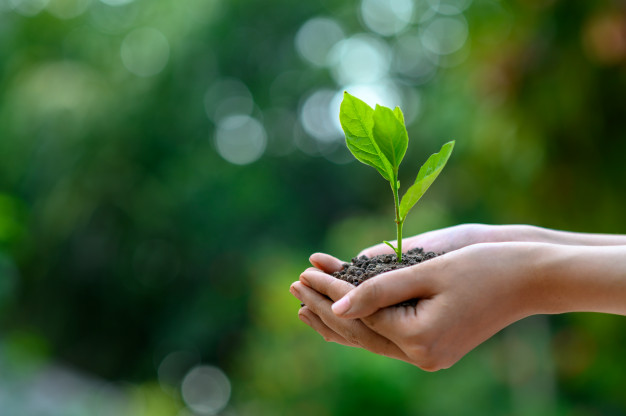 nourish your spirit