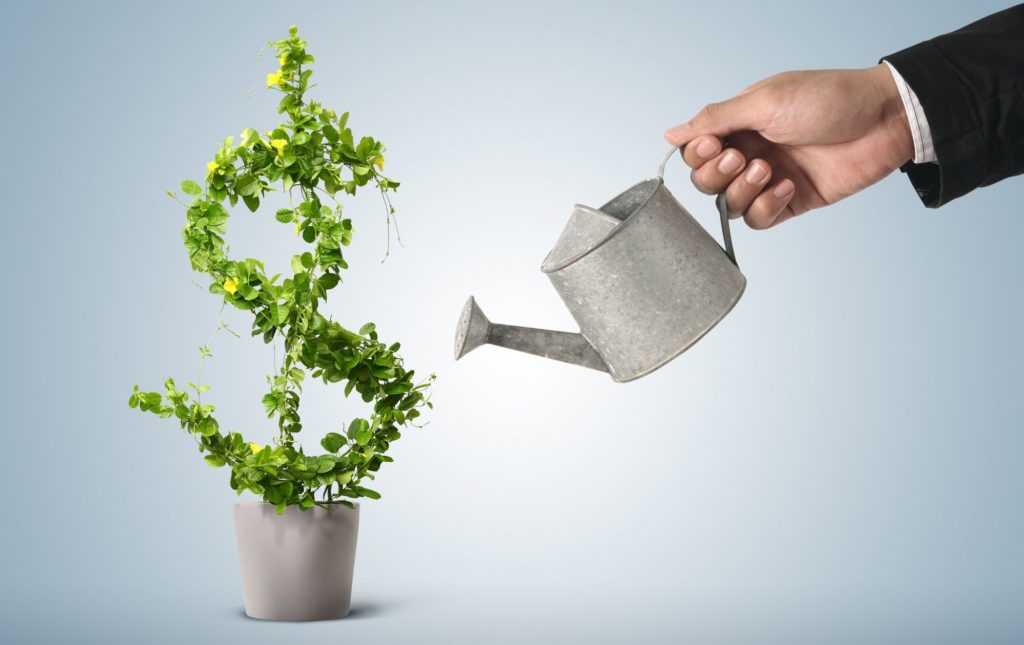 Man Watering money Plants