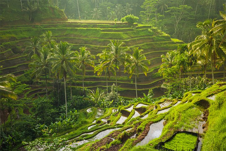 bali to travel