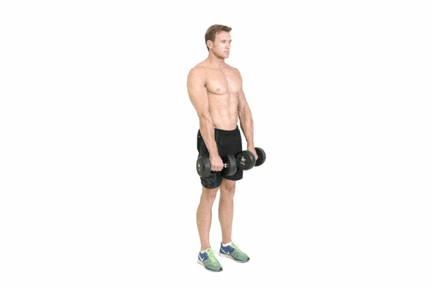stiffy dumbbell deadlift