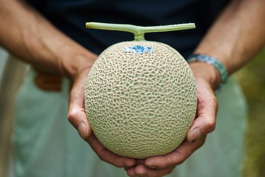 The Crown Melon
