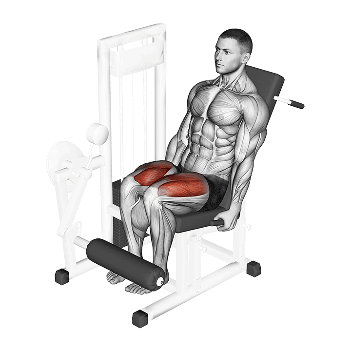 leg extension for men