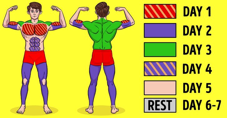 muscle building tips for men