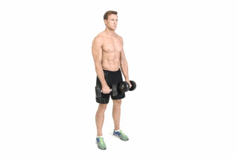 upper body workout for men