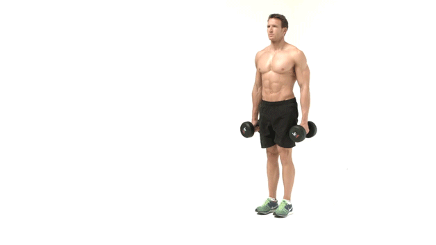 dumbbell lunges exercise for men