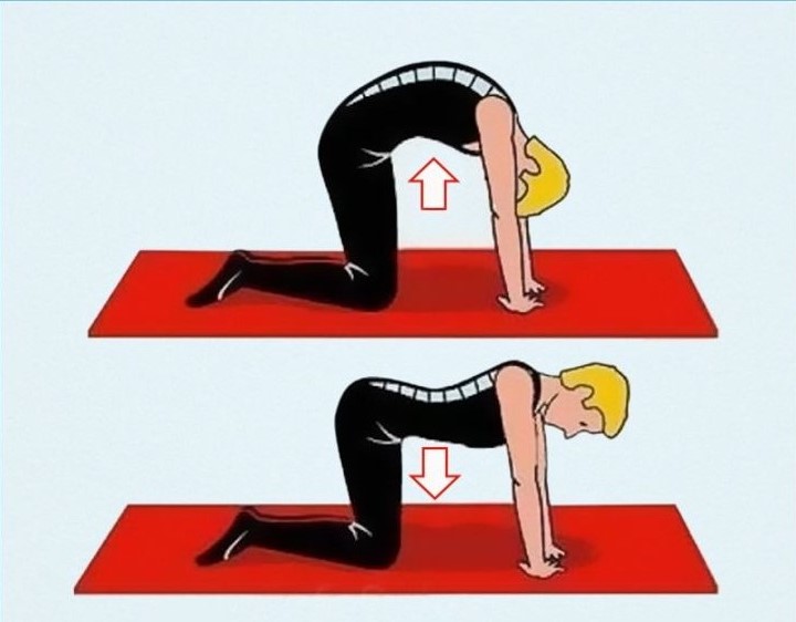 good posture exercises for men
