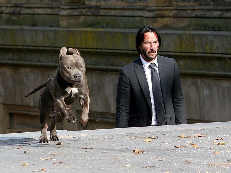 Keanu Reeves