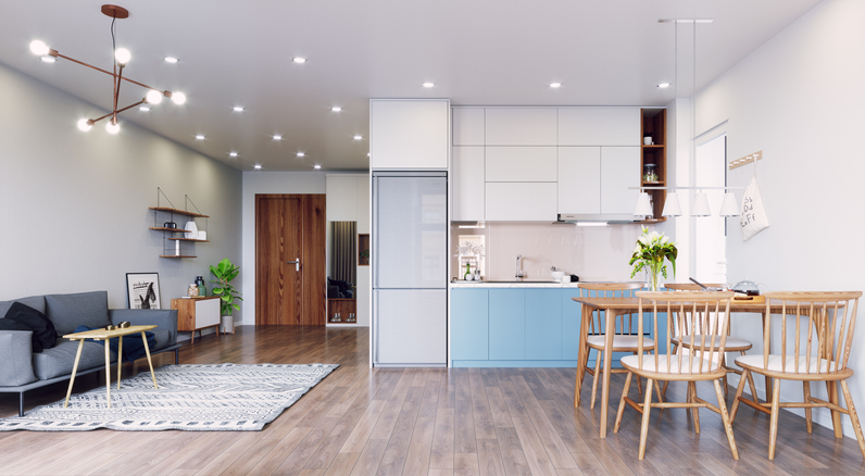 successful lifestyle, tidy living room design