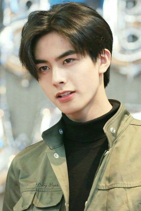 curtain hairstyle for men