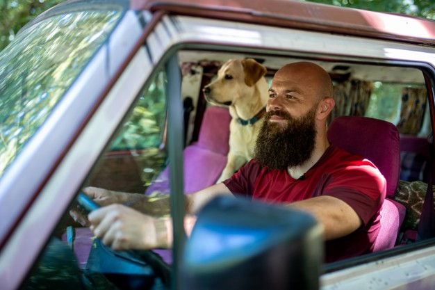 Caucasian male riding his car with his golden retriever