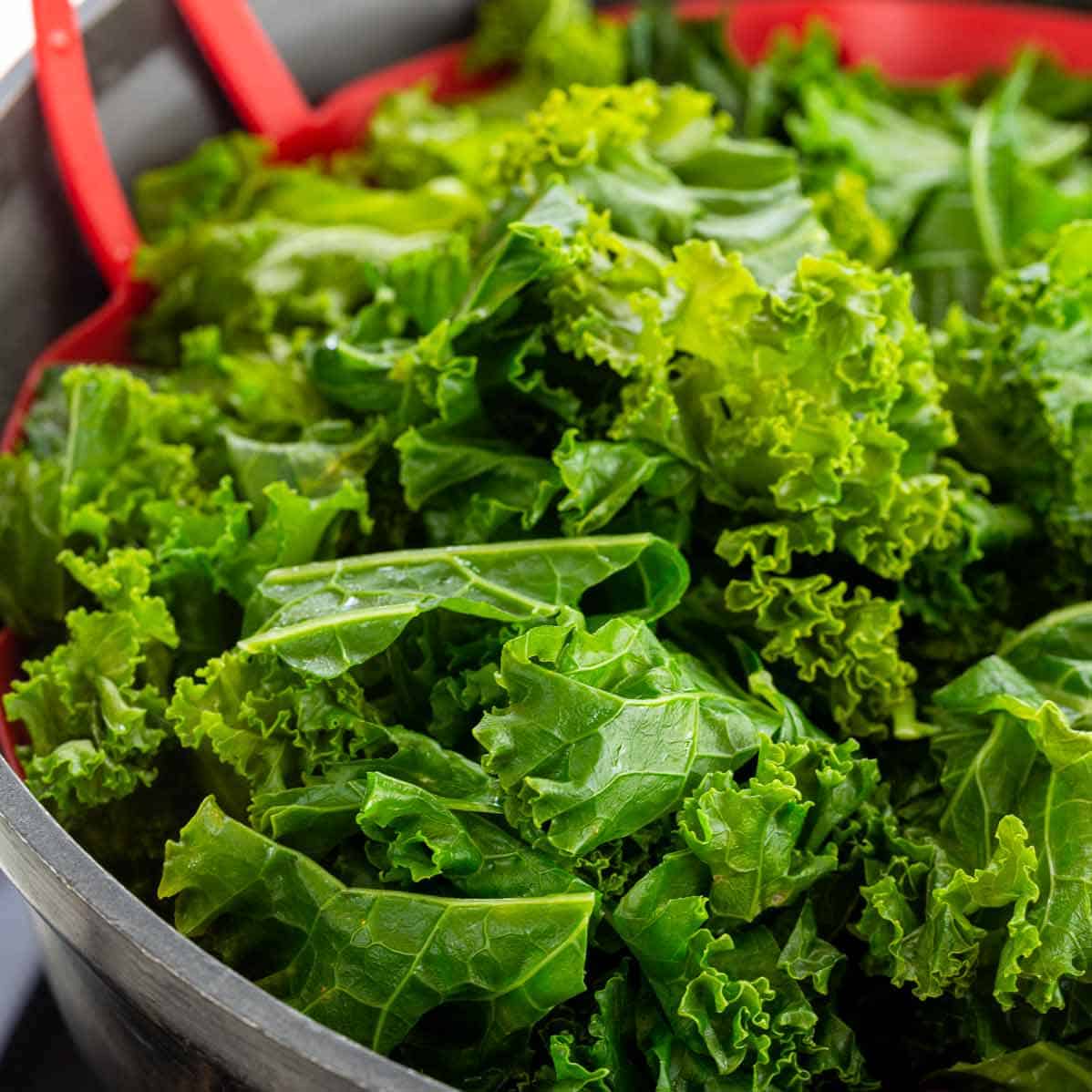 Kale for men