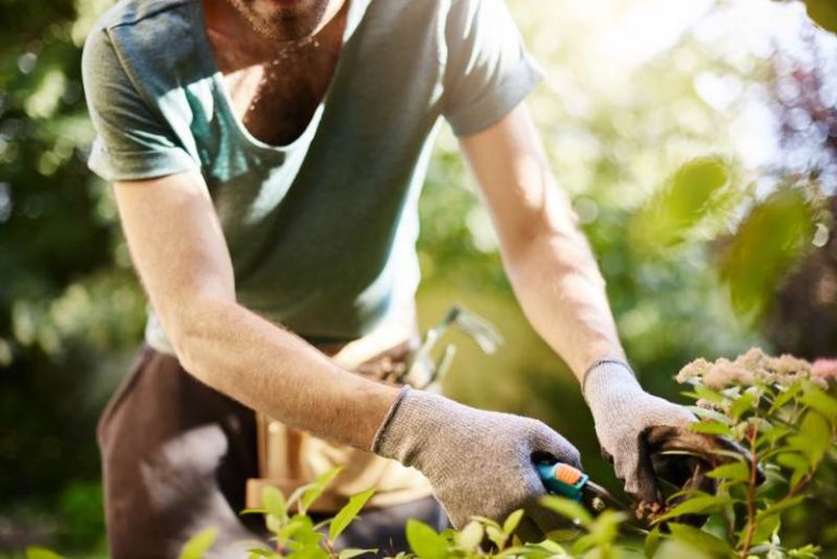 close-up-strong-man-gloves-cutting-leaves-his-garden-farmer-spending-summer-morning-working-garden-near-countryside-house