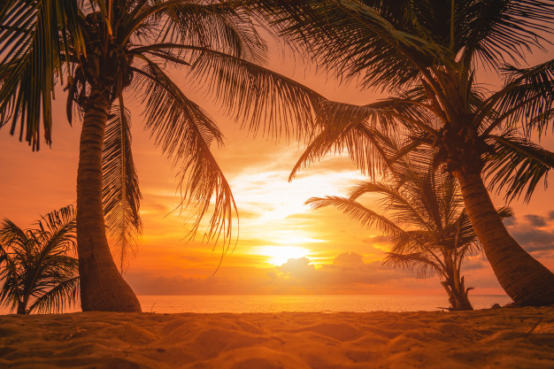 why travelling to the beach is good for men