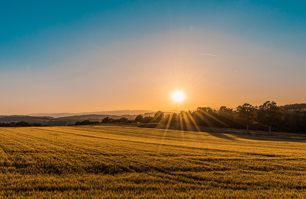 Sunrise in the nature