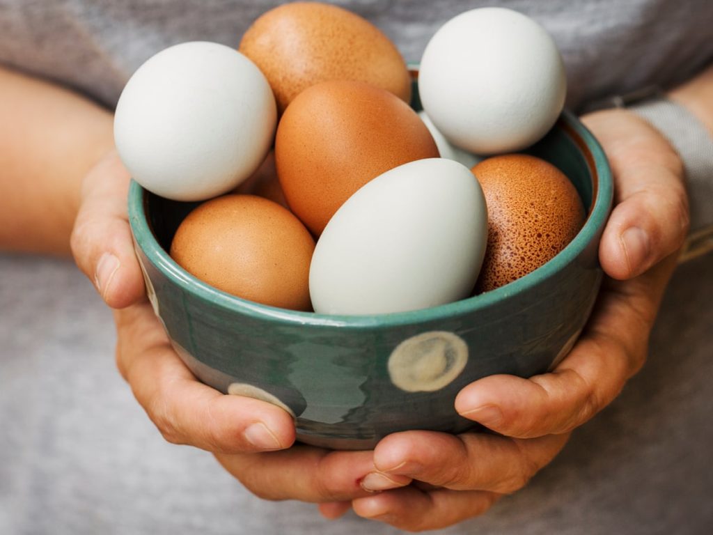 eggs