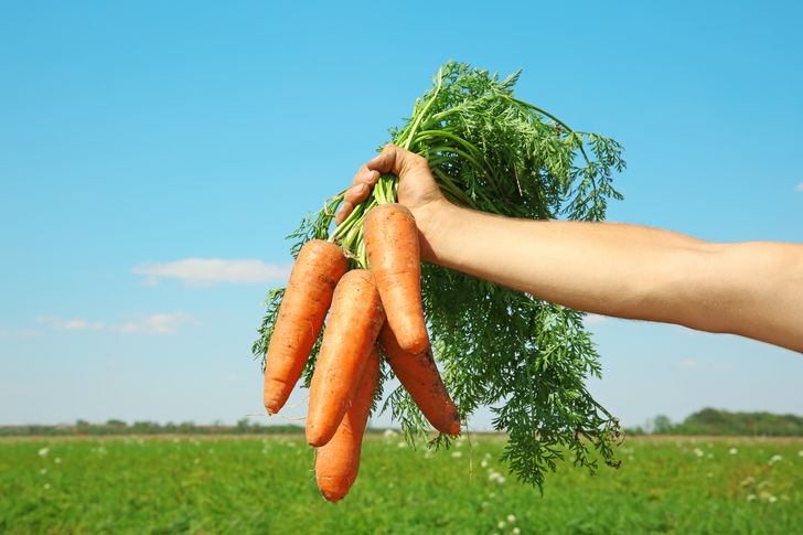 carrot for men's health