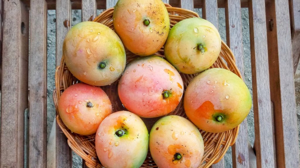  Benefits of Eating Mango