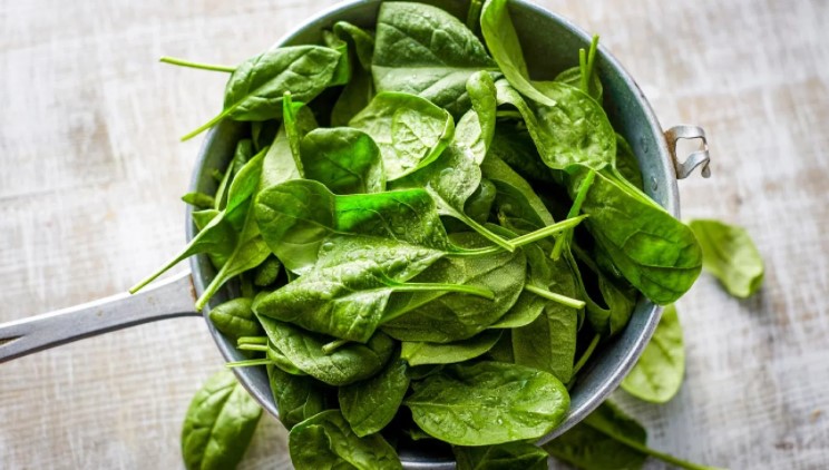Foods That Boost The Immune System for men