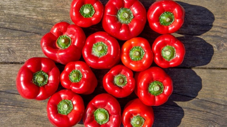 Foods That Boost The Immune System for men