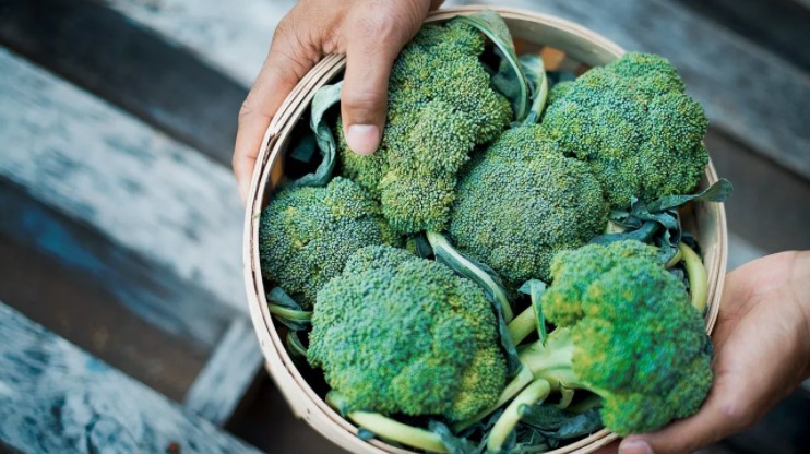 Foods That Boost The Immune System for men