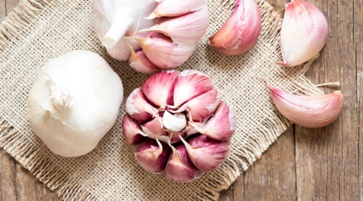Foods That Boost The Immune System for men