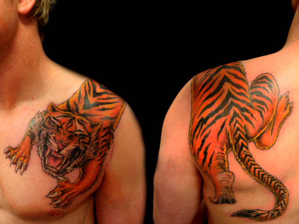 color-ink-tiger-tattoo-on-man-left-shoulder