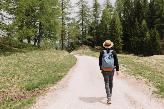male traveler exploring summer forest in vacation