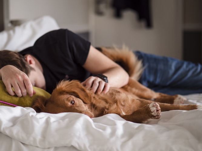 Sleeping With Pet