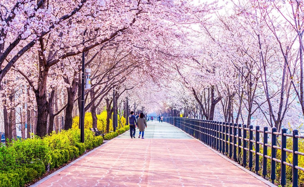 places to travel for your vacation