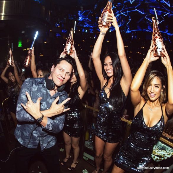 EDM Artists for Music Lovers