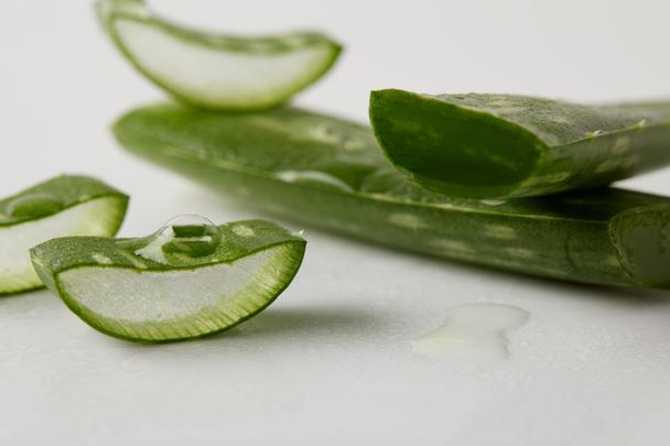 aloe vera leaves slices with juice