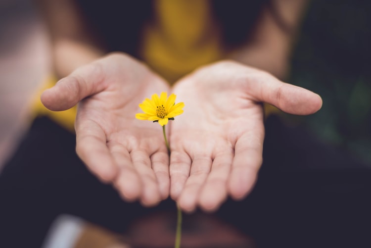 hand and flower