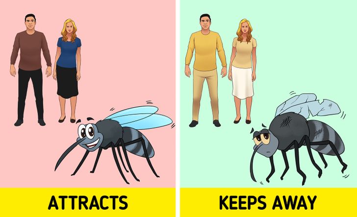 tips for men that is useful for daily life