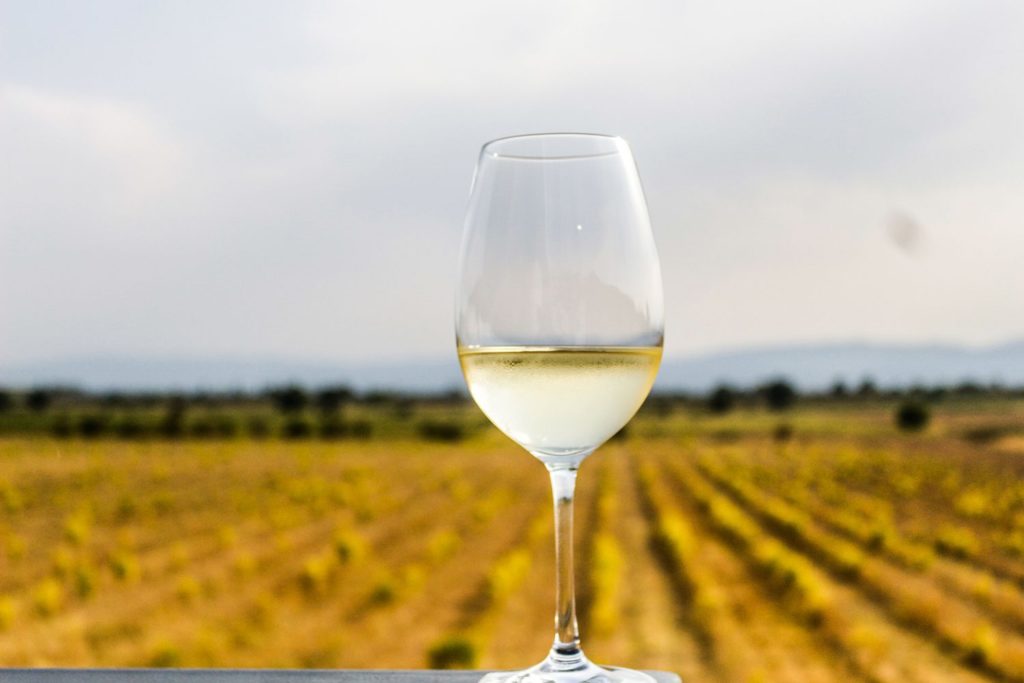 different types of wine and food combination for men