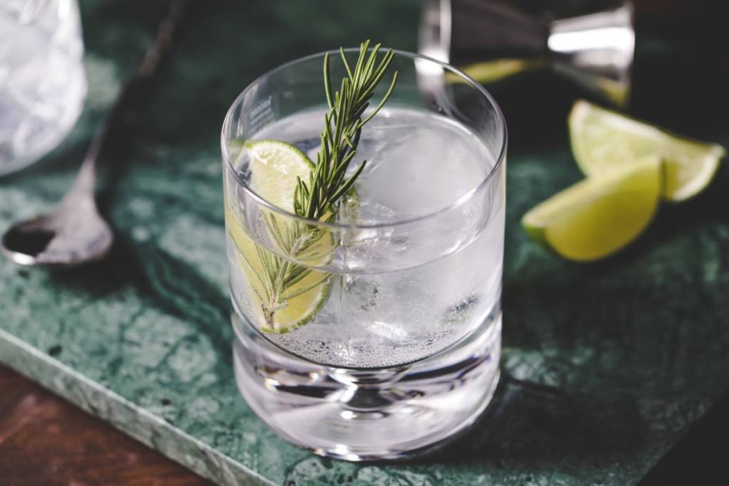 Classic Gin and Tonic Cocktail 
