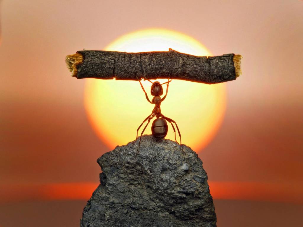 Strength  