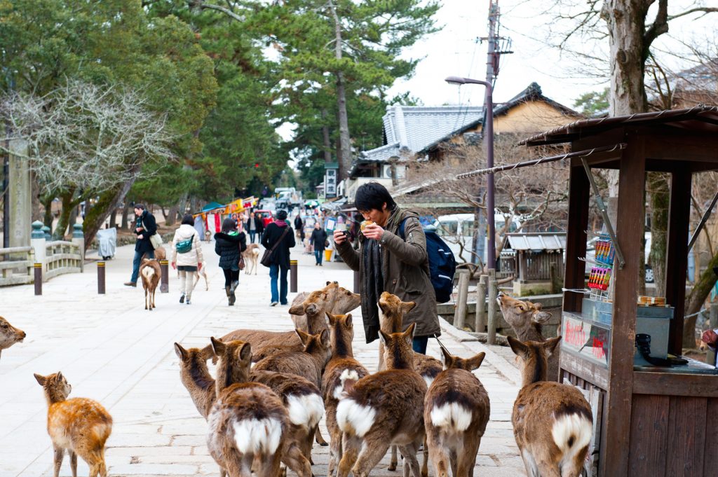 Nara Park 
