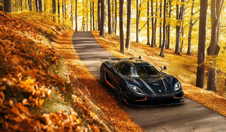 The Fastest Cars in the World for Men