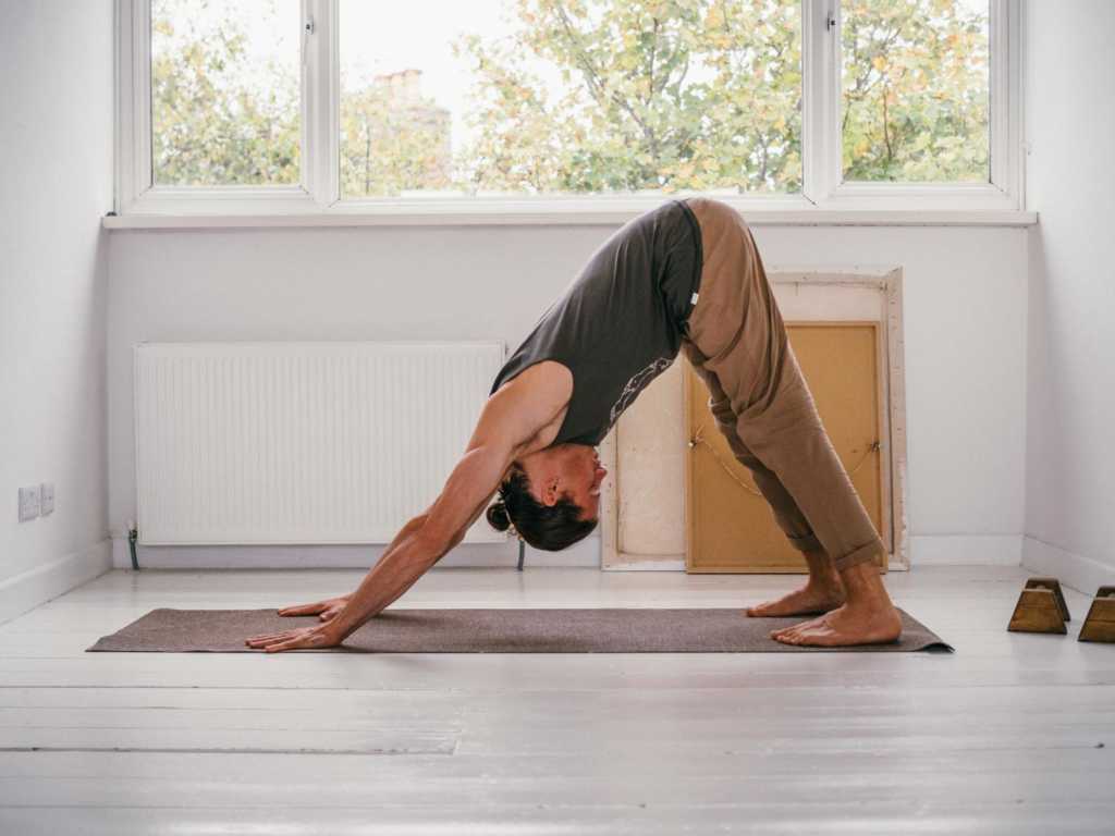 Downward-Facing Dog