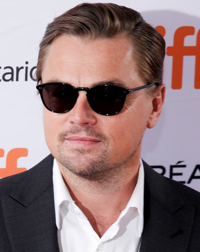 THE STUBBLE GOATEE