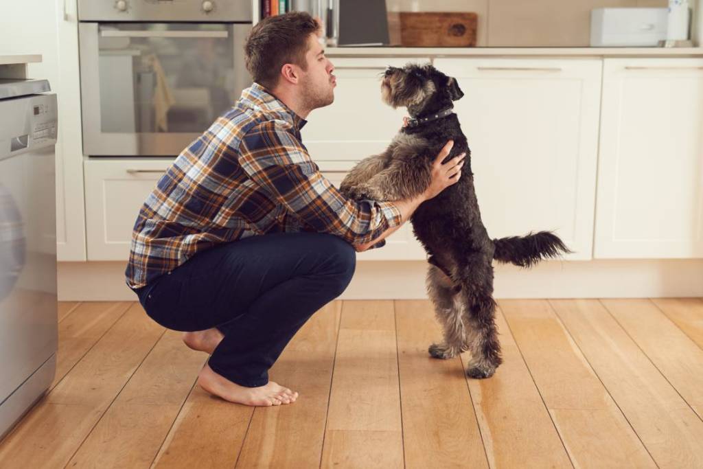 Man Hugging Dog  