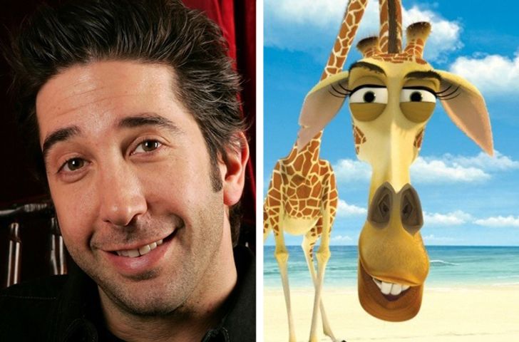 David Schwimmer — Melman (Madagascar)