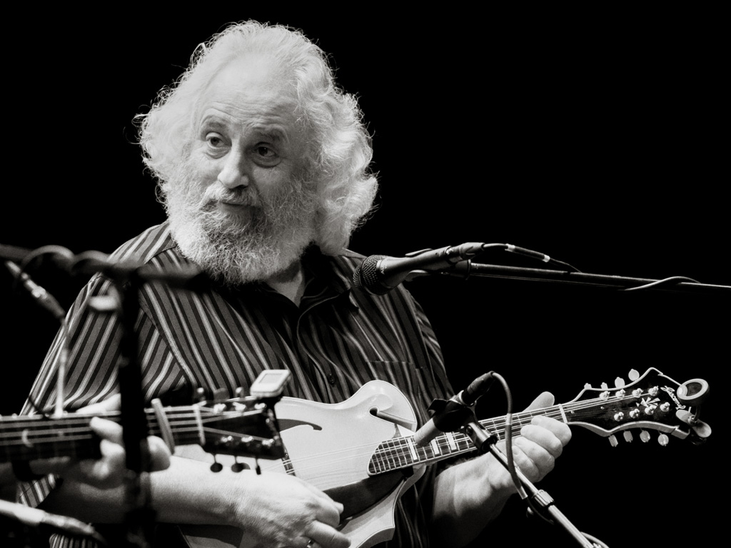 david-grisman