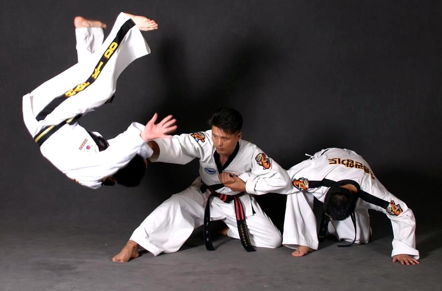 hapkido
